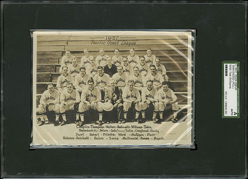 Ebbets Field Ted Williams 1937 SAN DIEGO PADRES #9 Authentic PCL