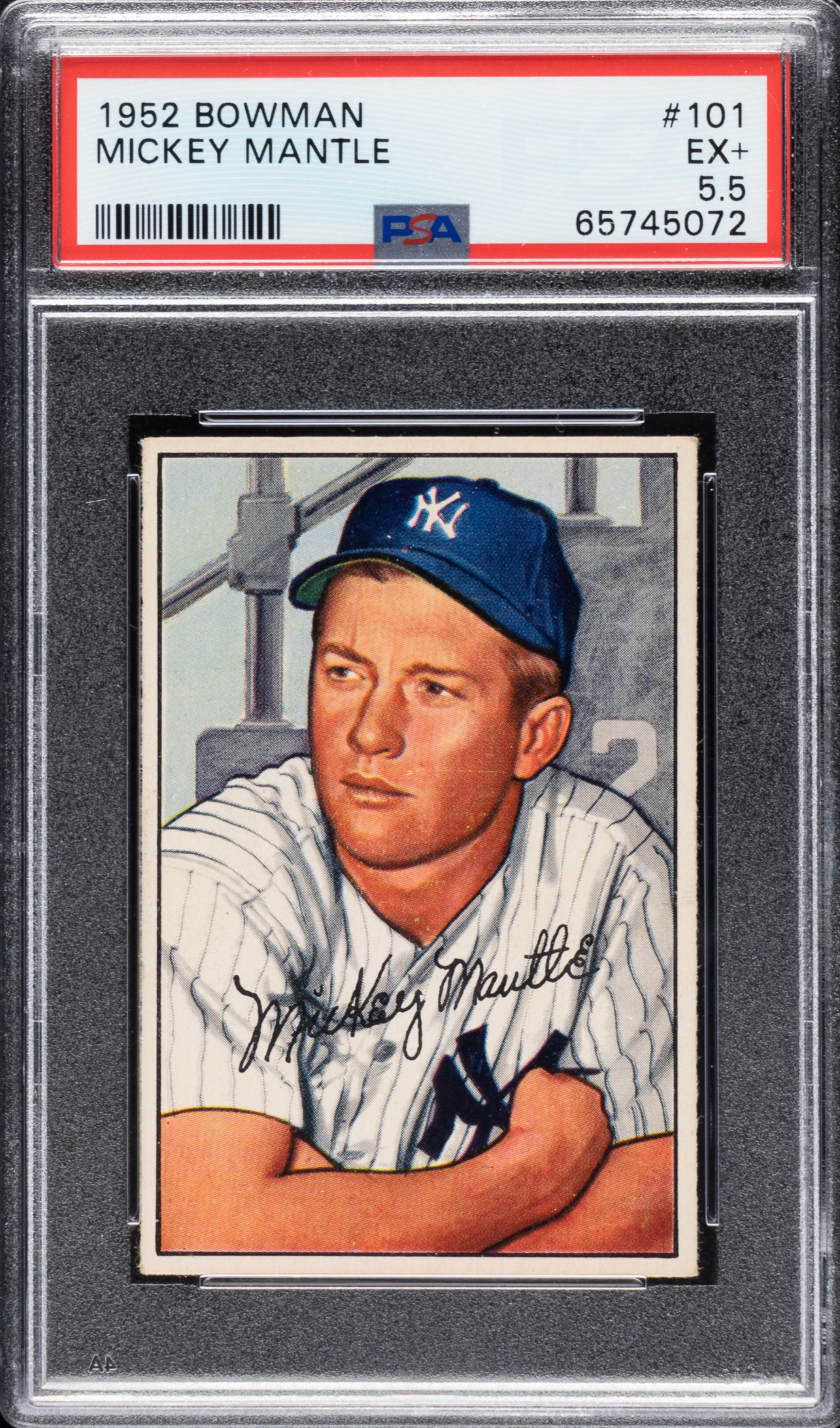 Mickey Mantle'S Legacy: A Genetic Perspective - szsjhh2